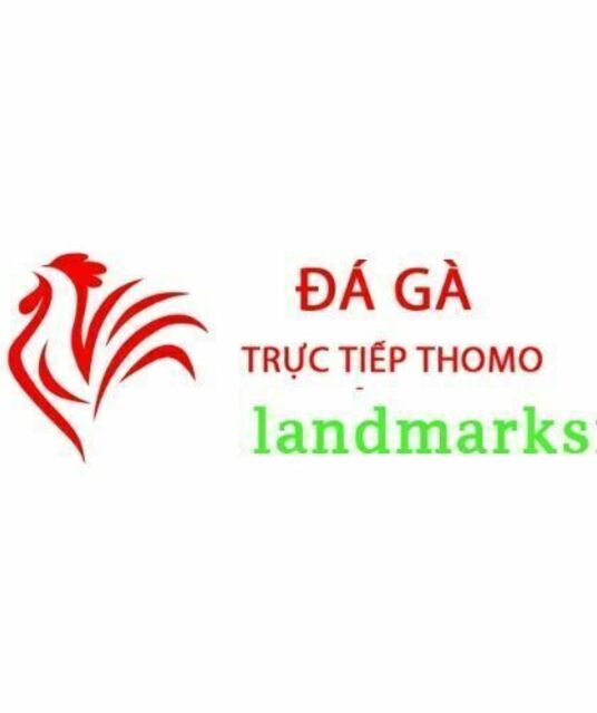 avatar Đá Gà Trực Tiếp Thomo Hôm Nay