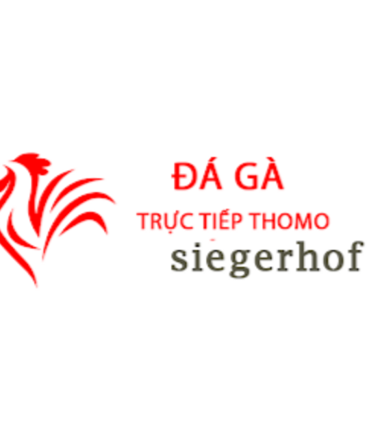 avatar Đá Gà Trực Tiếp Thomo Hôm Nay