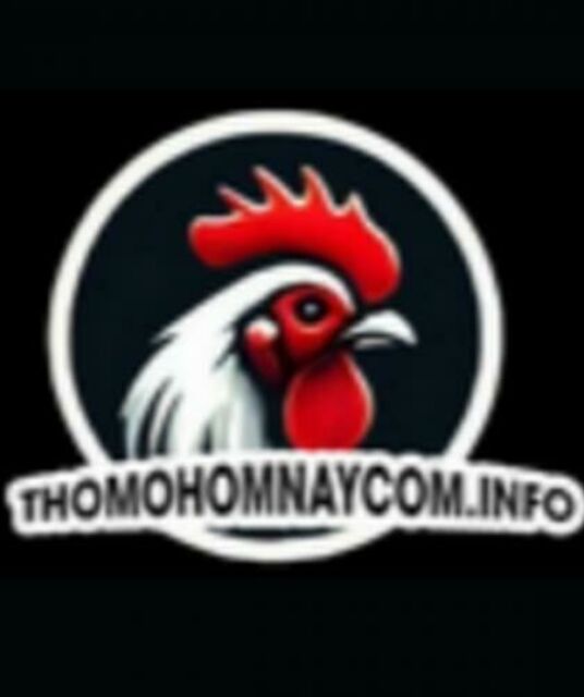 avatar ĐÁ GÀ THOMO