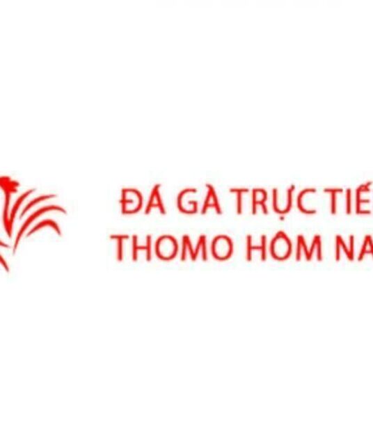 avatar Đá Gà Trực Tiếp Thomo Hôm Nay