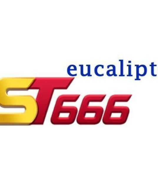 avatar ST666 eucalipto