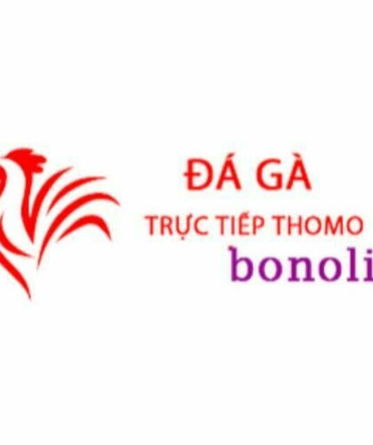 avatar Đá Gà Trực Tiếp Thomo Hôm Nay