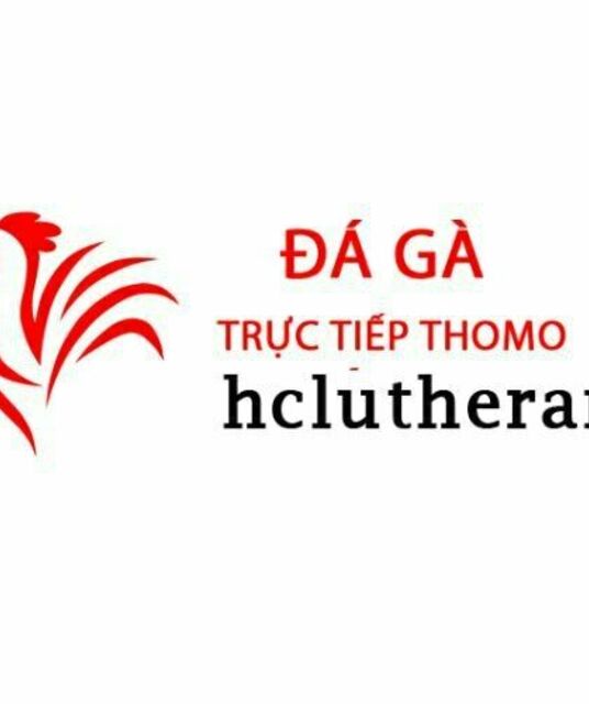 avatar Đá Gà Trực Tiếp Thomo Hôm Nay