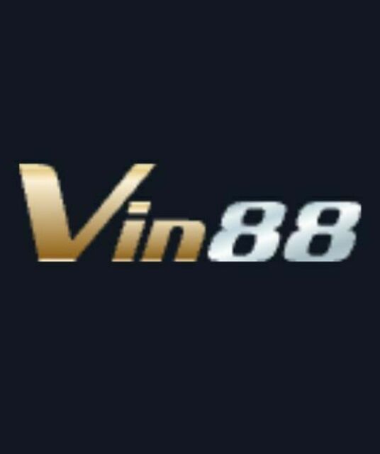 avatar Vin88