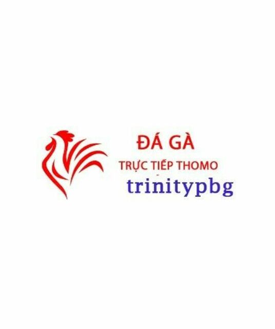 avatar Đá Gà Trực Tiếp Thomo Hôm Nay